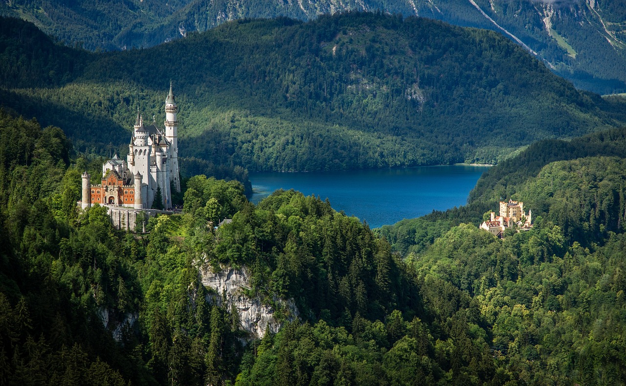 castle, tree, landscape